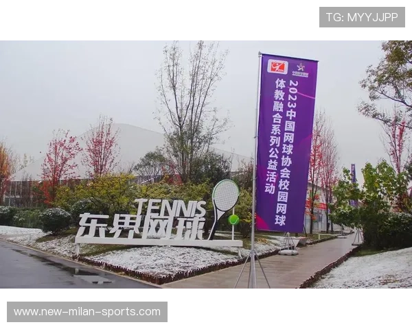 2026年网球基层俱乐部公益活动与城市联动案例分析，网球协会简介