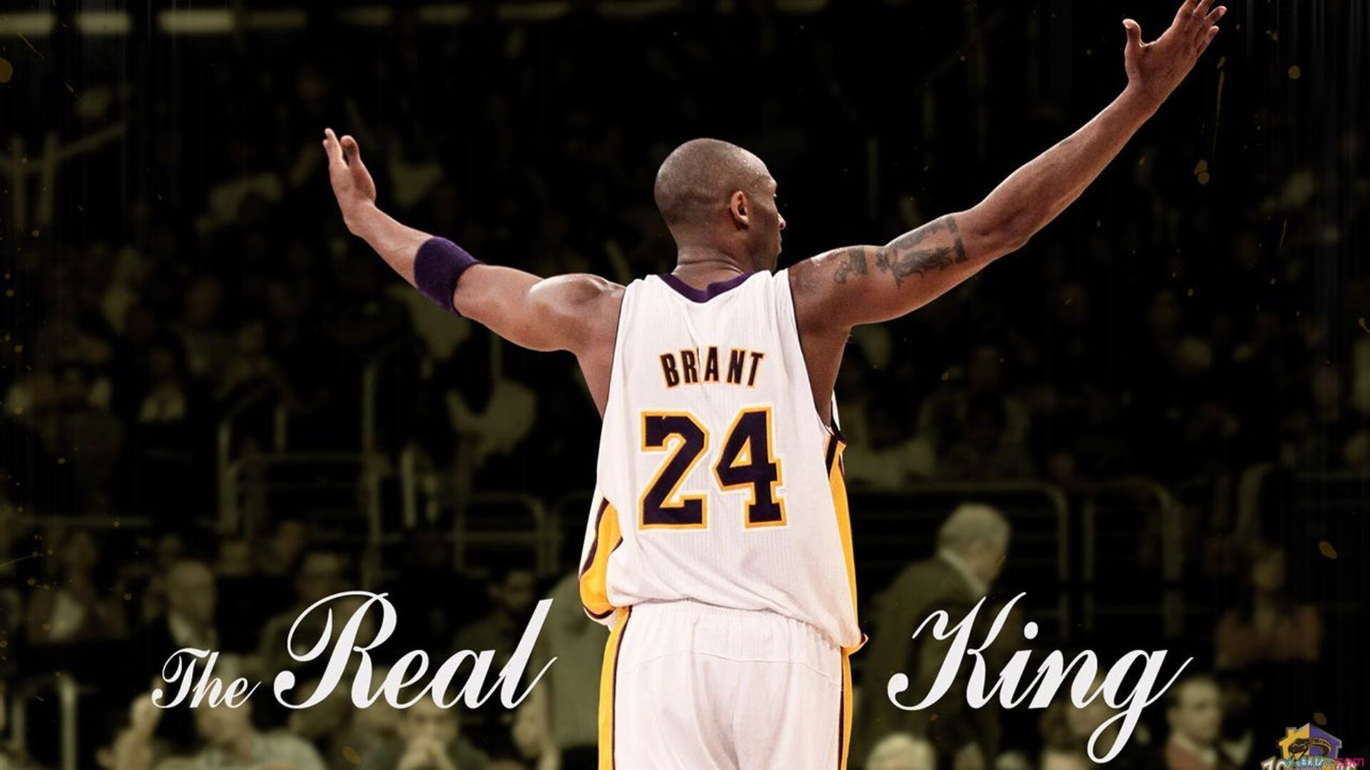 米兰足球官网-LPL新策略团战压制对手，lol对线压制力